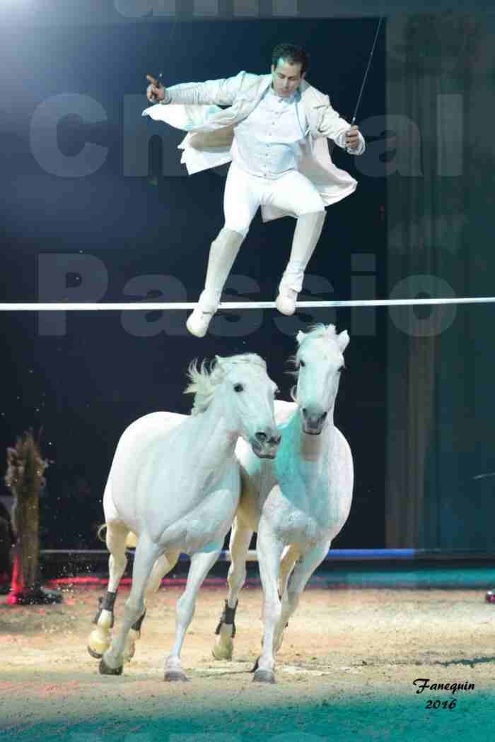 Cheval Passion 2016 - Spectacle les Crinières d'OR - LORENZO "Blanc" - représentation du 23 janvier 2016 - 07