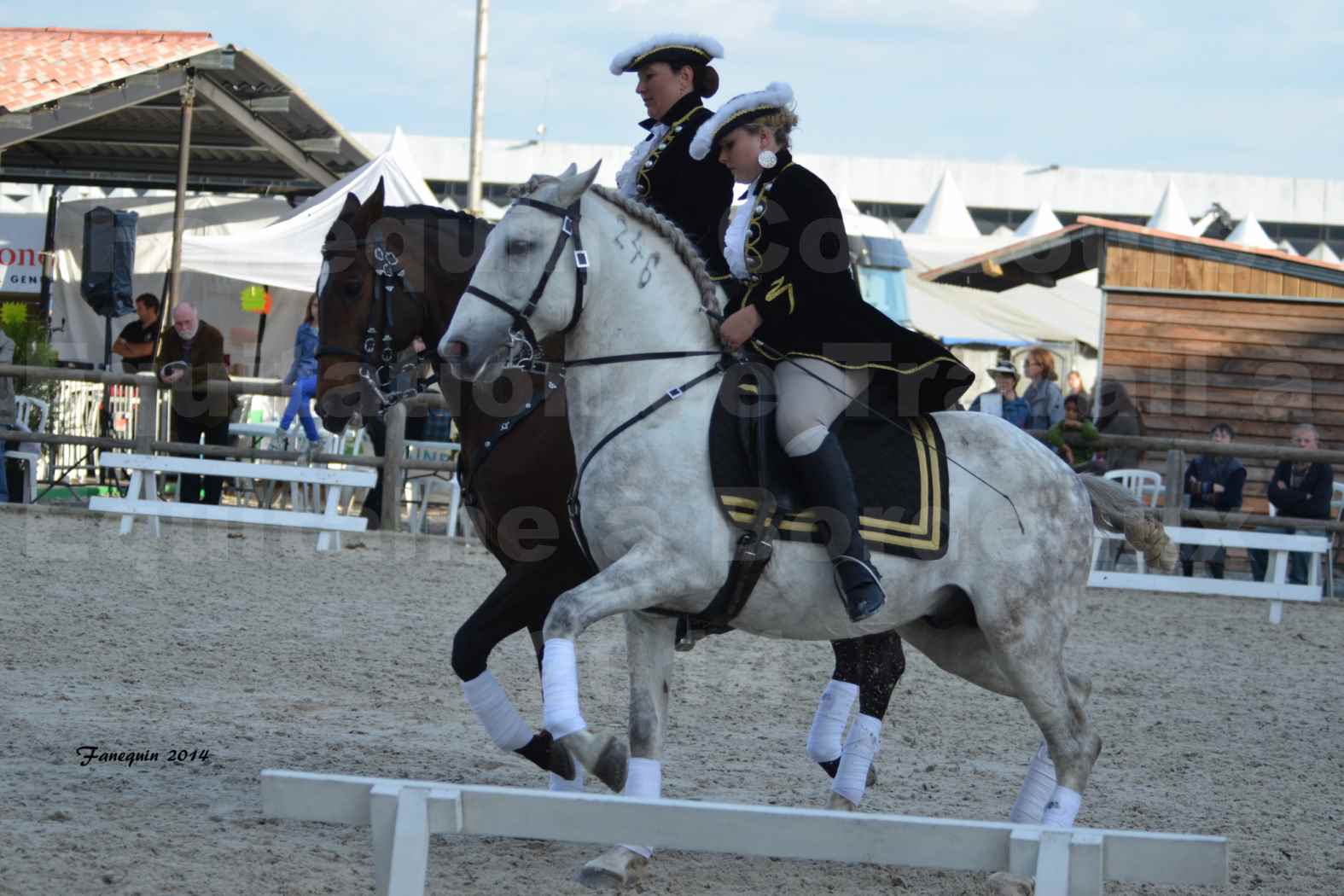 Carrousel de cavalières Equitation de travail lors du salon "Equitaine" à Bordeaux en 2014 - 39