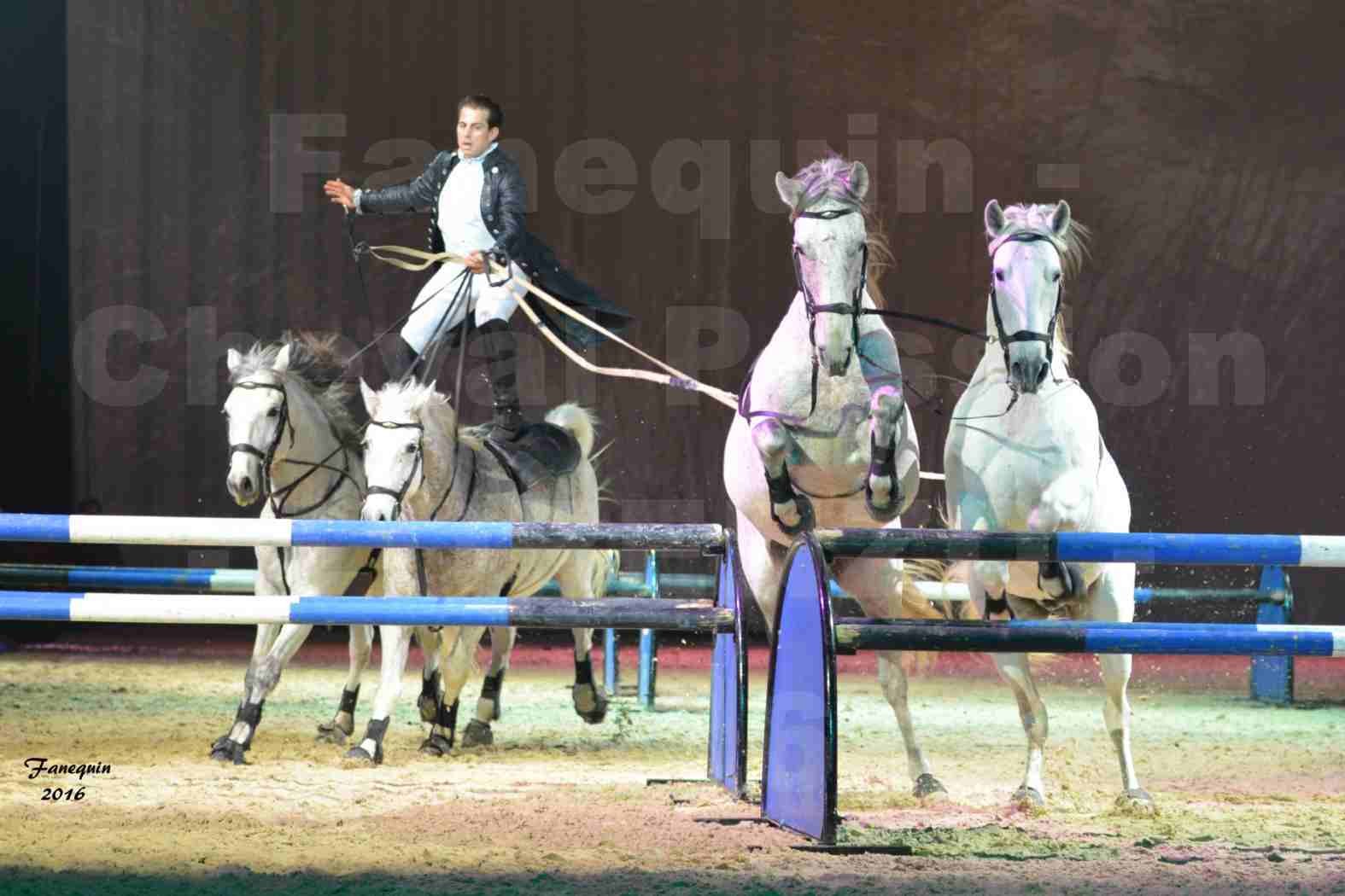 Cheval Passion 2016 - Spectacle les Crinières d'OR - LORENZO "Noir" - représentation du 23 janvier 2016 - 15