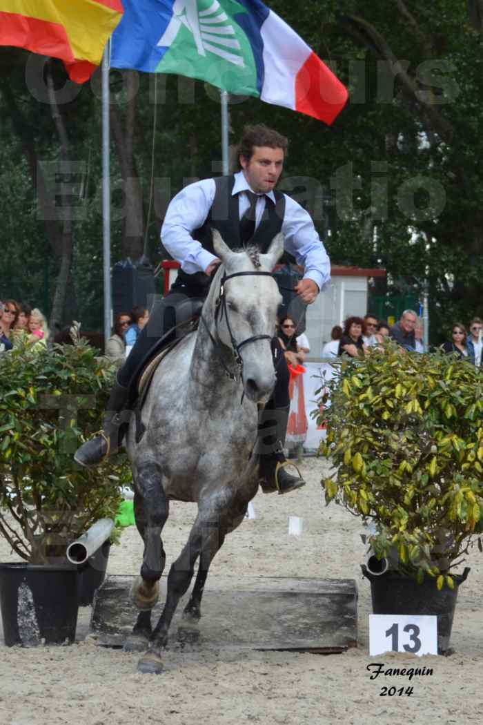 Salon Equitaine de Bordeaux en 2014 - concours Equitation de travail - Épreuve de Maniabilité chronométré - J - 4