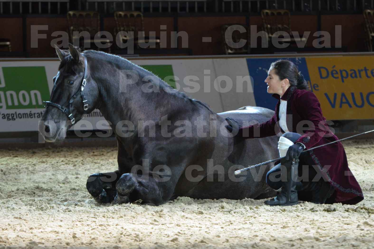 Cheval Passion 2014 - Frédériq VIGNE - Notre Sélection - 22