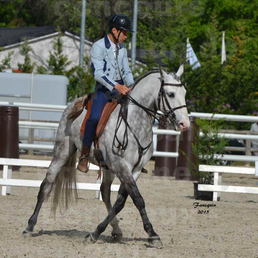 Salon Equitaine de Bordeaux 2015 - Concours d'Equitation de Travail avec chevaux Ibériques - S - 3