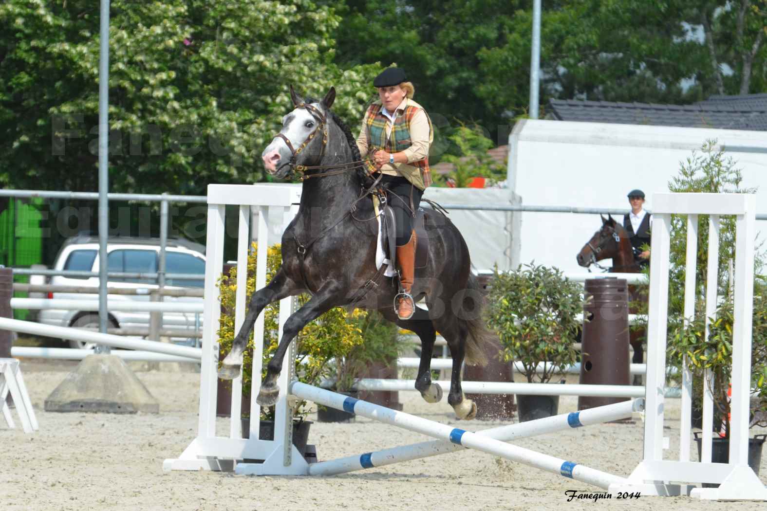 Salon Equitaine de Bordeaux en 2014 - concours Equitation de travail - Épreuve de Maniabilité chronométré - F - 09