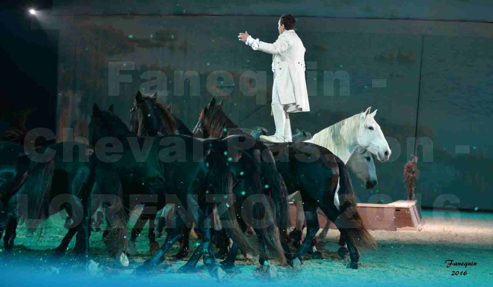 Cheval Passion 2016 - Spectacle les Crinières d'OR - LORENZO "Blanc" - représentation du 20 janvier 2016 - 29