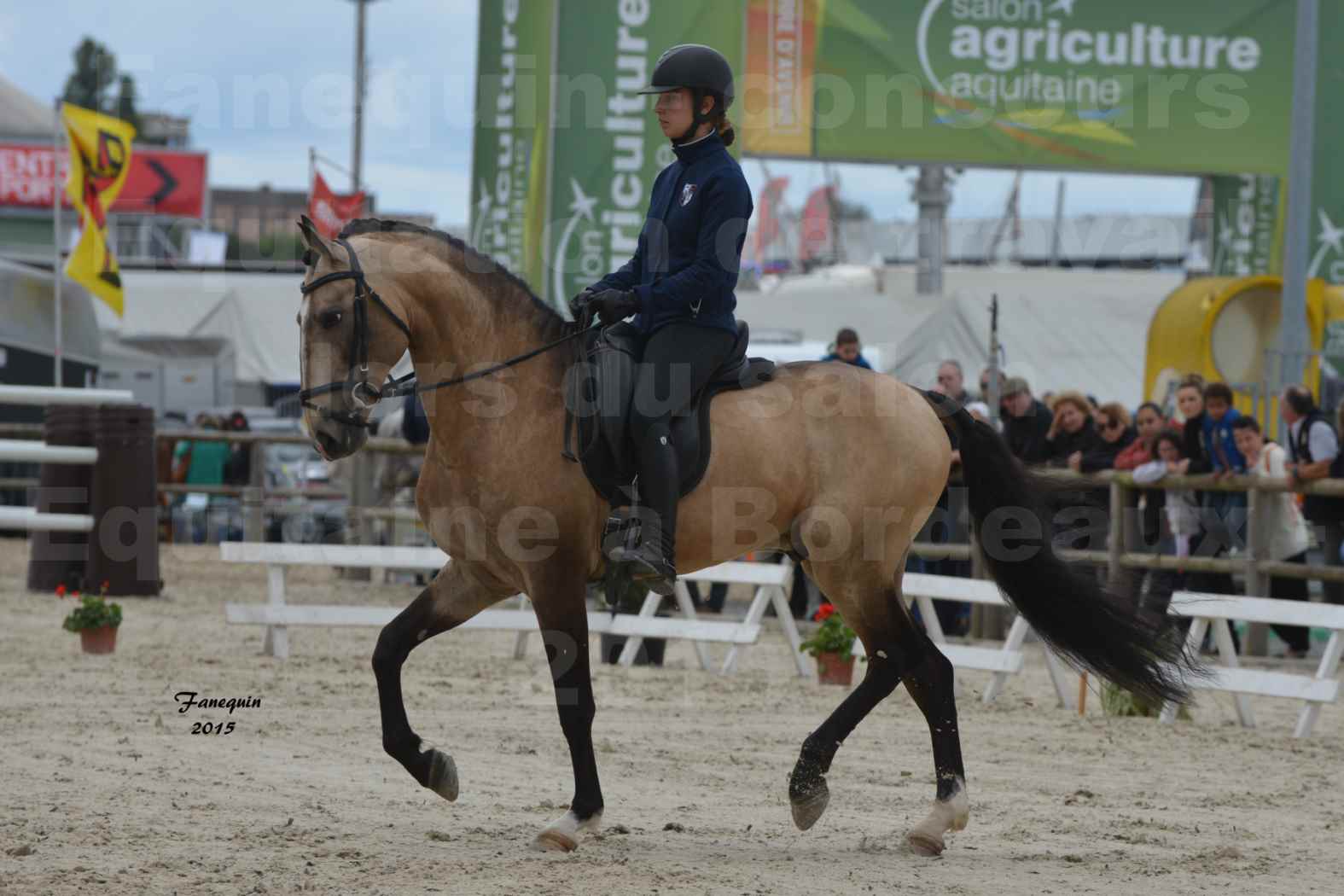 Salon Equitaine de Bordeaux 2015 - Concours d'Equitation de Travail avec chevaux Ibériques - R - 2