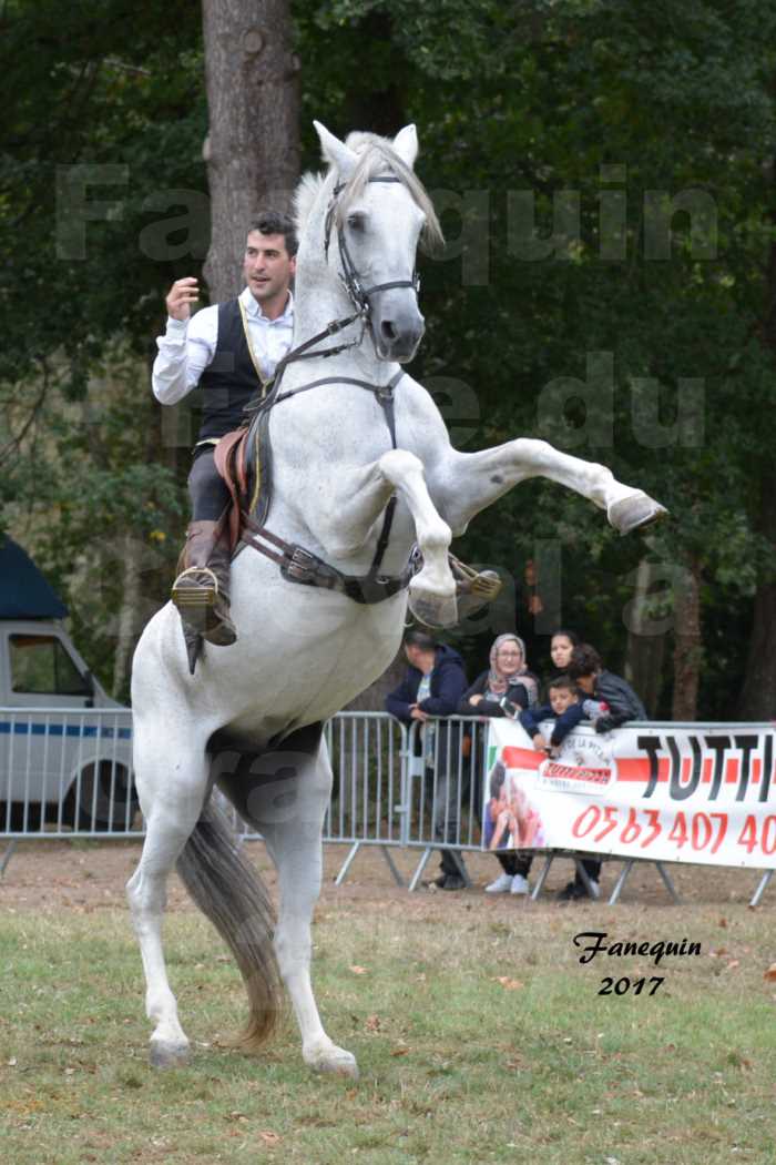 Spectacle équestre de la Fête du Cheval à GRAULHET le 17 Septembre 2017 - 1