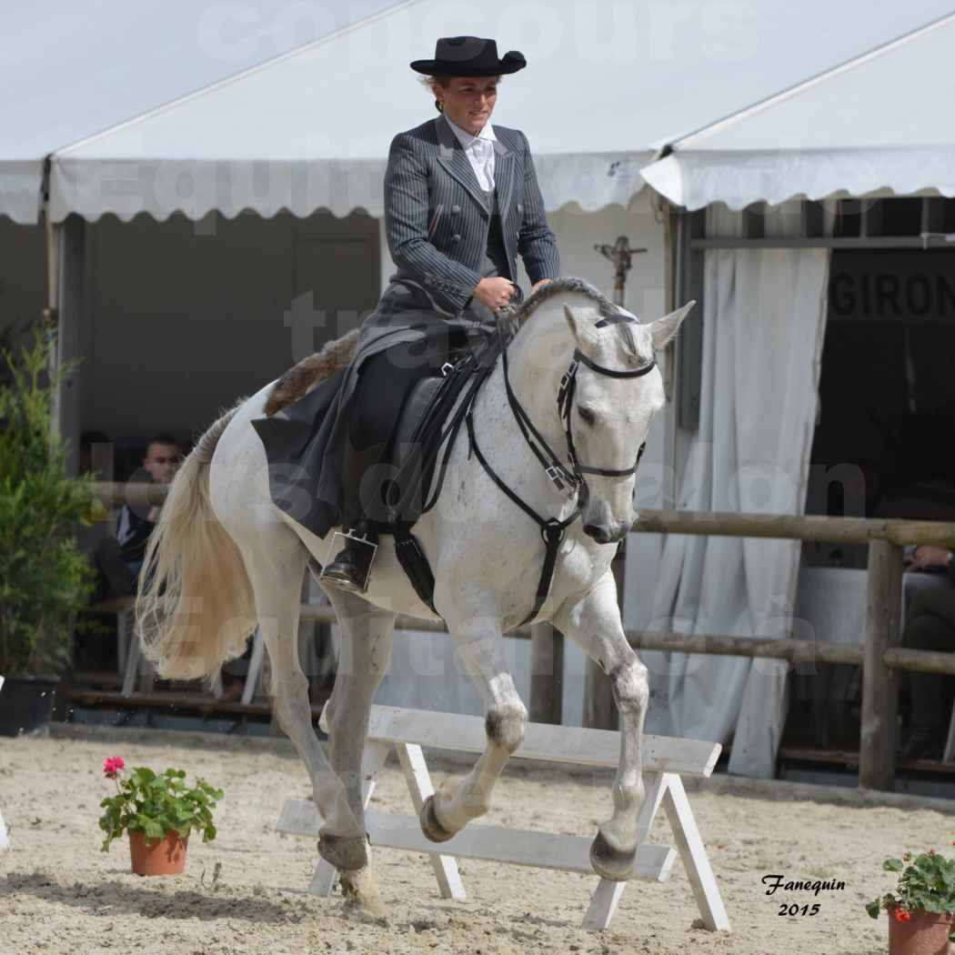 Salon Equitaine de Bordeaux 2015 - Concours d'Equitation de Travail avec chevaux Ibériques - W - 4