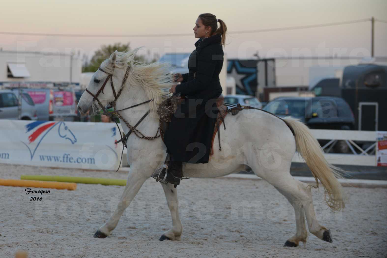 Centre équestre éphémère de la Foire de Montpellier 2016 - Mardi 11 Octobre 2016 - Spectacle Nocturne - 25