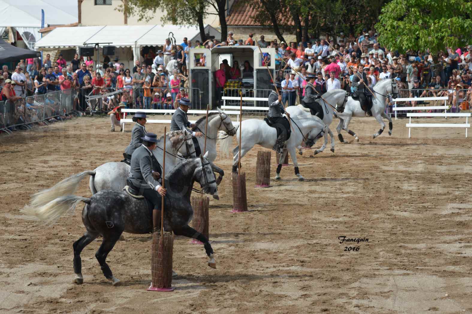 Spectacle équestre le 4 Septembre 2016 au Domaine de GAILLAC - Démonstration de CARROUSEL de chevaux LUSITANIENS - 20