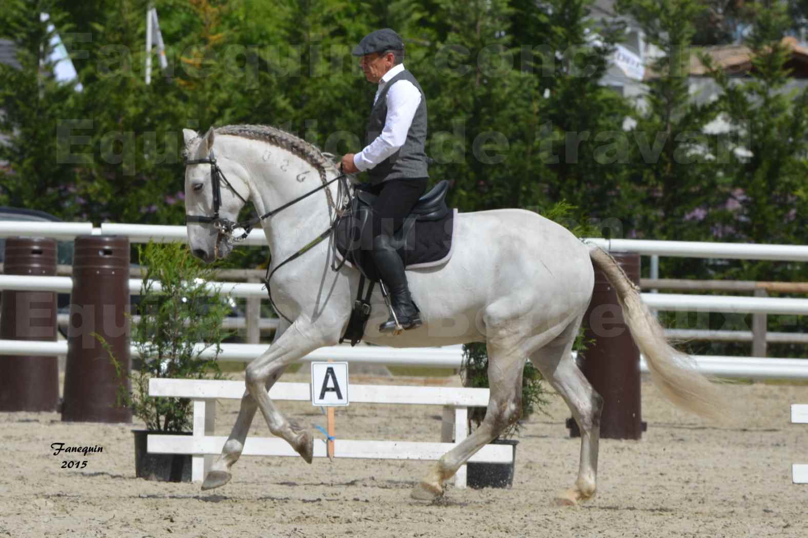 Salon Equitaine de Bordeaux 2015 - Concours d'Equitation de Travail avec chevaux Ibériques - X - 9