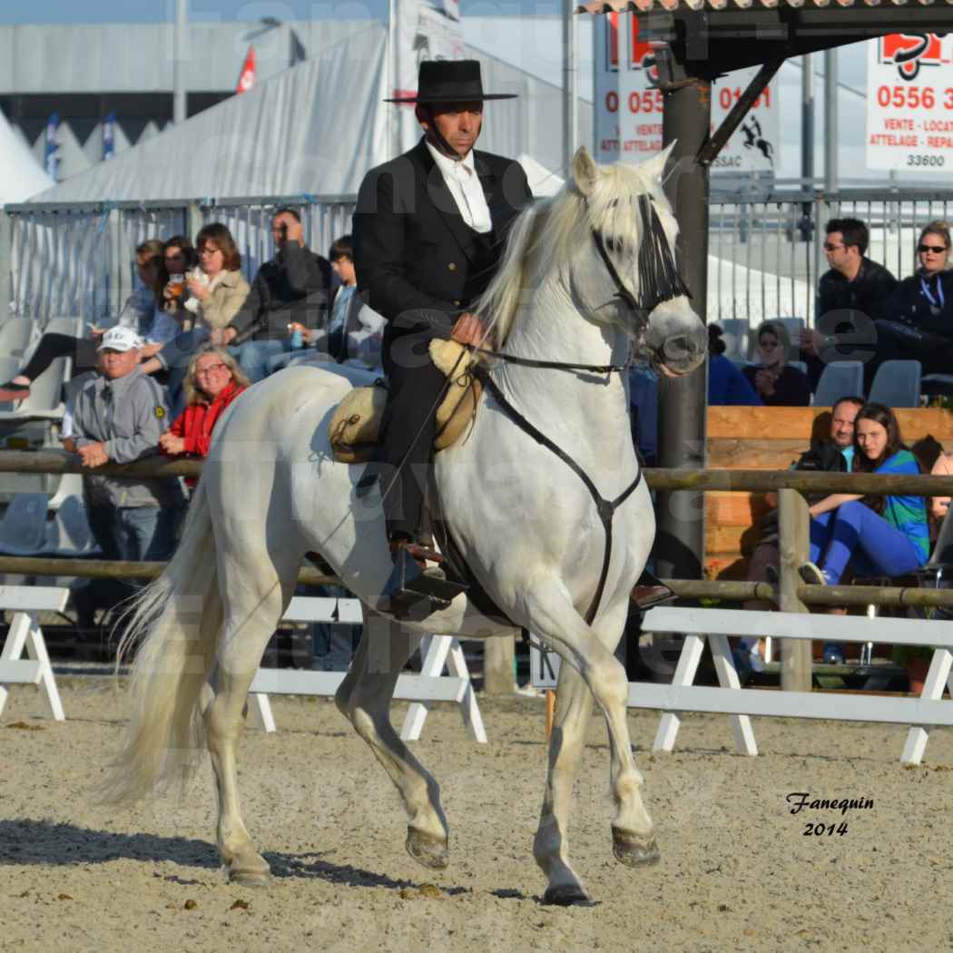 Salon Equitaine de Bordeaux en 2014 - concours Equitation de travail - Épreuve de Dressage - 01