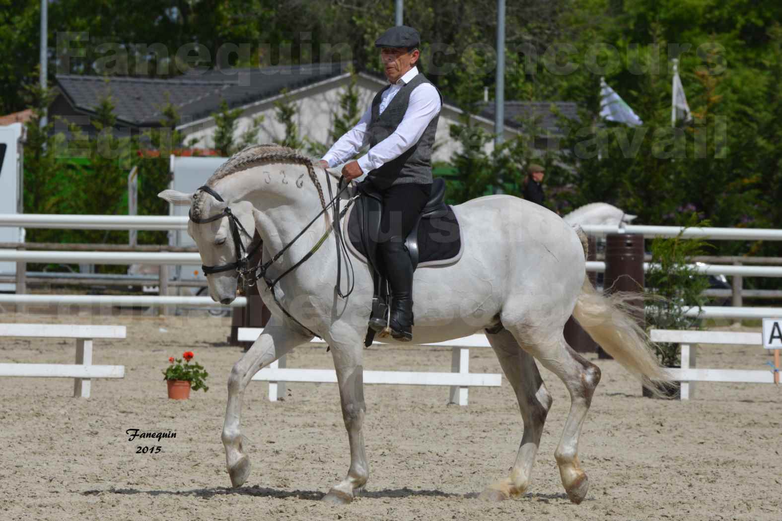 Salon Equitaine de Bordeaux 2015 - Concours d'Equitation de Travail avec chevaux Ibériques - X - 7