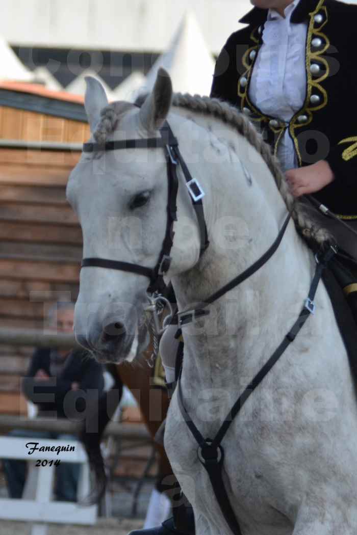 Carrousel de cavalières Equitation de travail lors du salon "Equitaine" à Bordeaux en 2014 - 53
