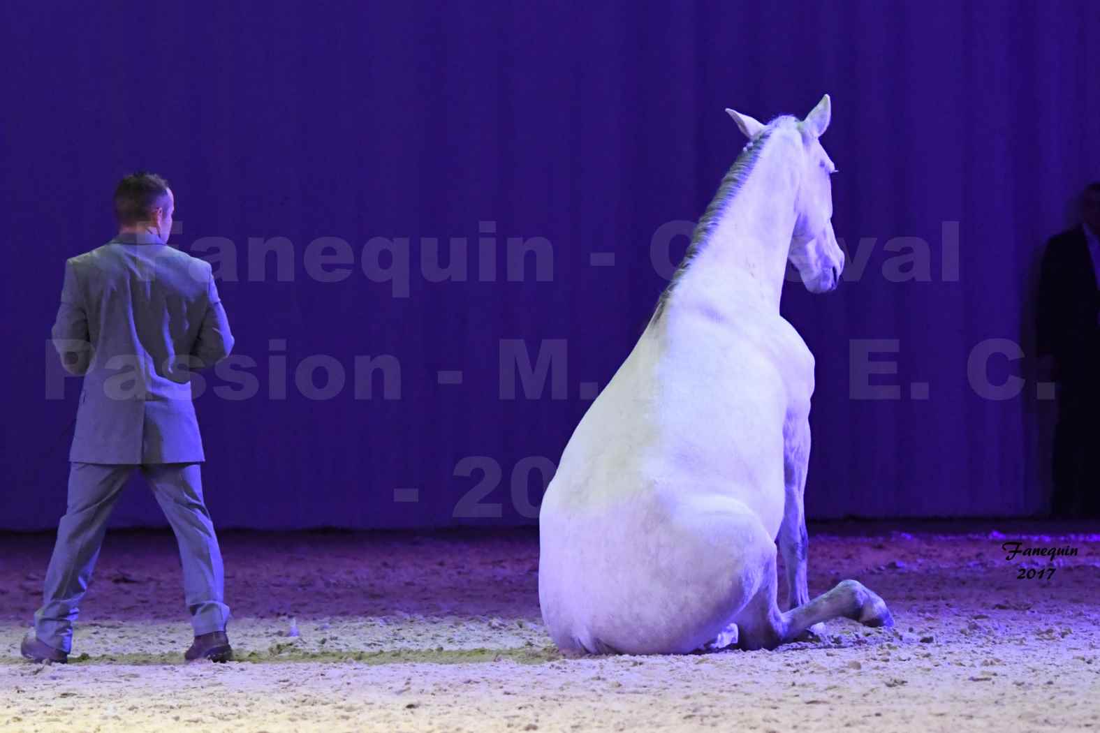 Cheval Passion 2017 - M. I. S. E. C. - Ludovic LONGO & 1 cheval en liberté - 16