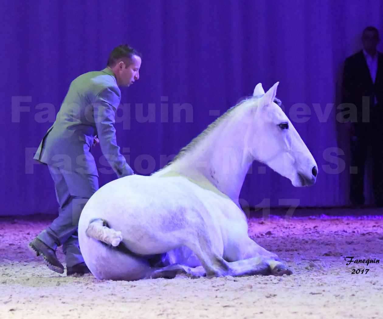 Cheval Passion 2017 - M. I. S. E. C. - Ludovic LONGO & 1 cheval en liberté - 17