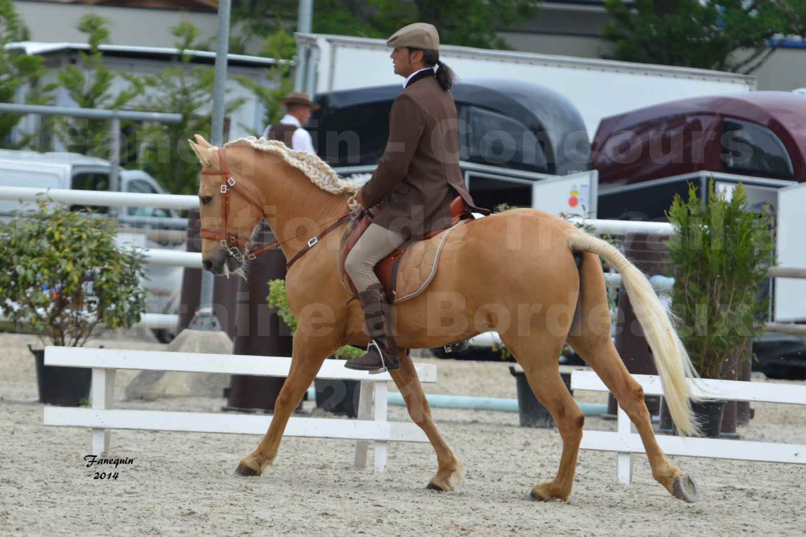 Salon Equitaine de Bordeaux en 2014 - concours Equitation de travail - Épreuve de Dressage - 3