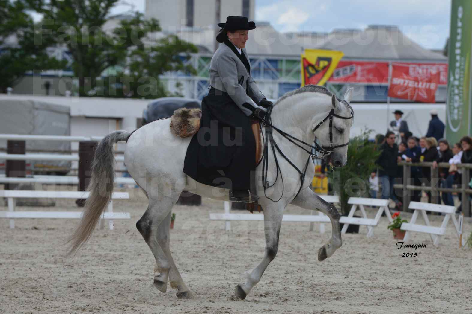 Salon Equitaine de Bordeaux 2015 - Concours d'Equitation de Travail avec chevaux Ibériques - V - 10