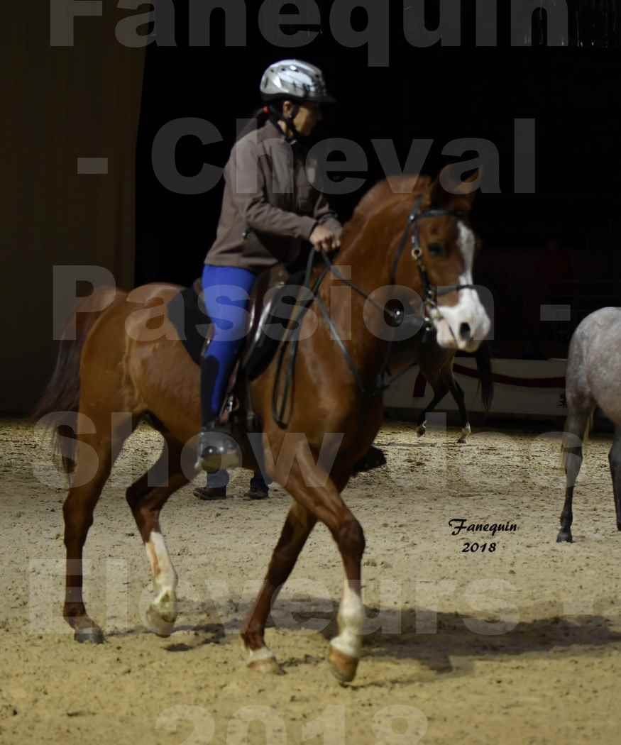 Cheval passion 2018 - Show des éleveurs - Chevaux ARABES - Notre Sélection - 31