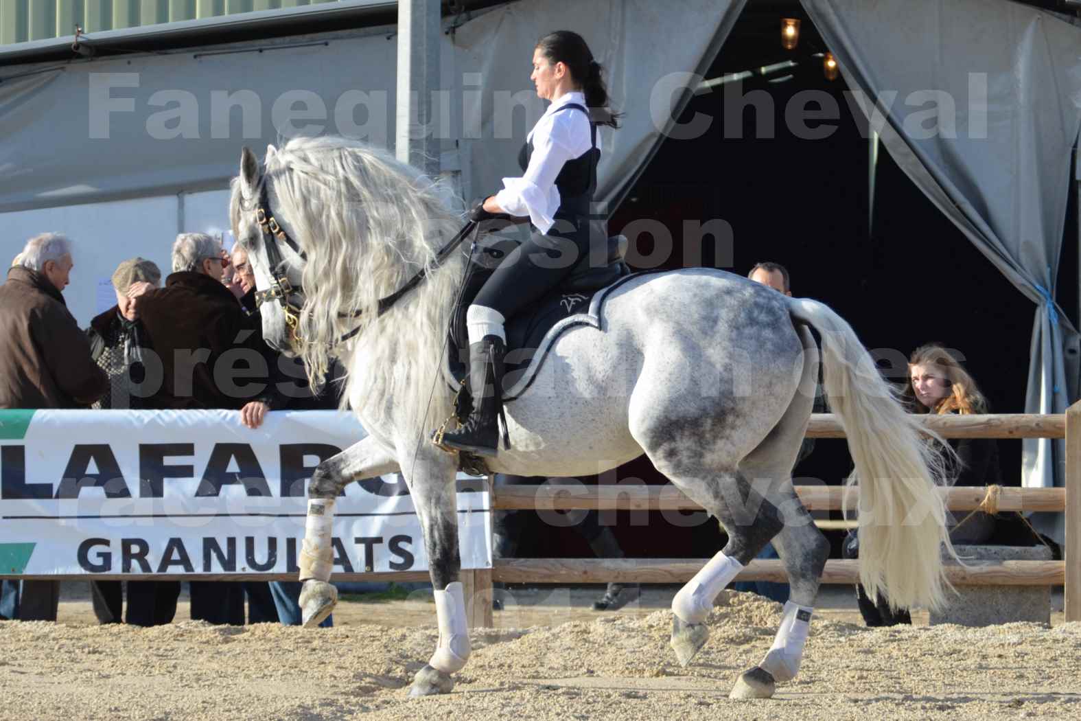 Cheval Passion 2014 - Frédériq VIGNE - Notre Sélection - 01