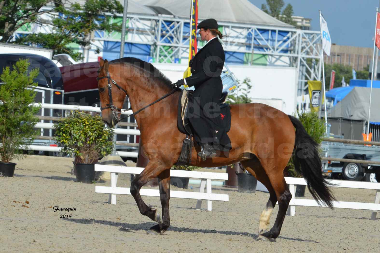 Salon Equitaine de Bordeaux en 2014 - concours Equitation de travail - Épreuve de Dressage - 06