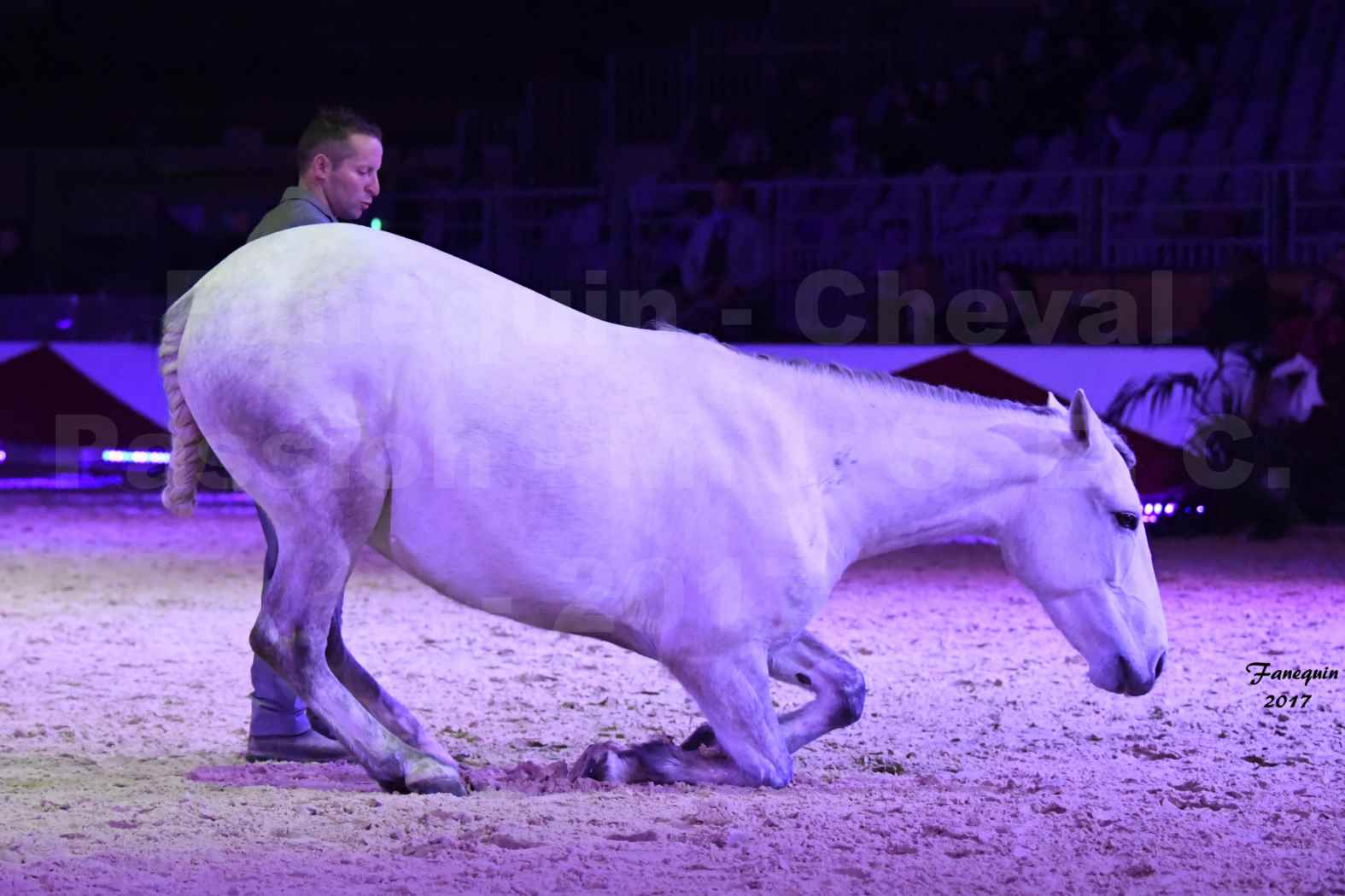 Cheval Passion 2017 - M. I. S. E. C. - Ludovic LONGO & 1 cheval en liberté - 10