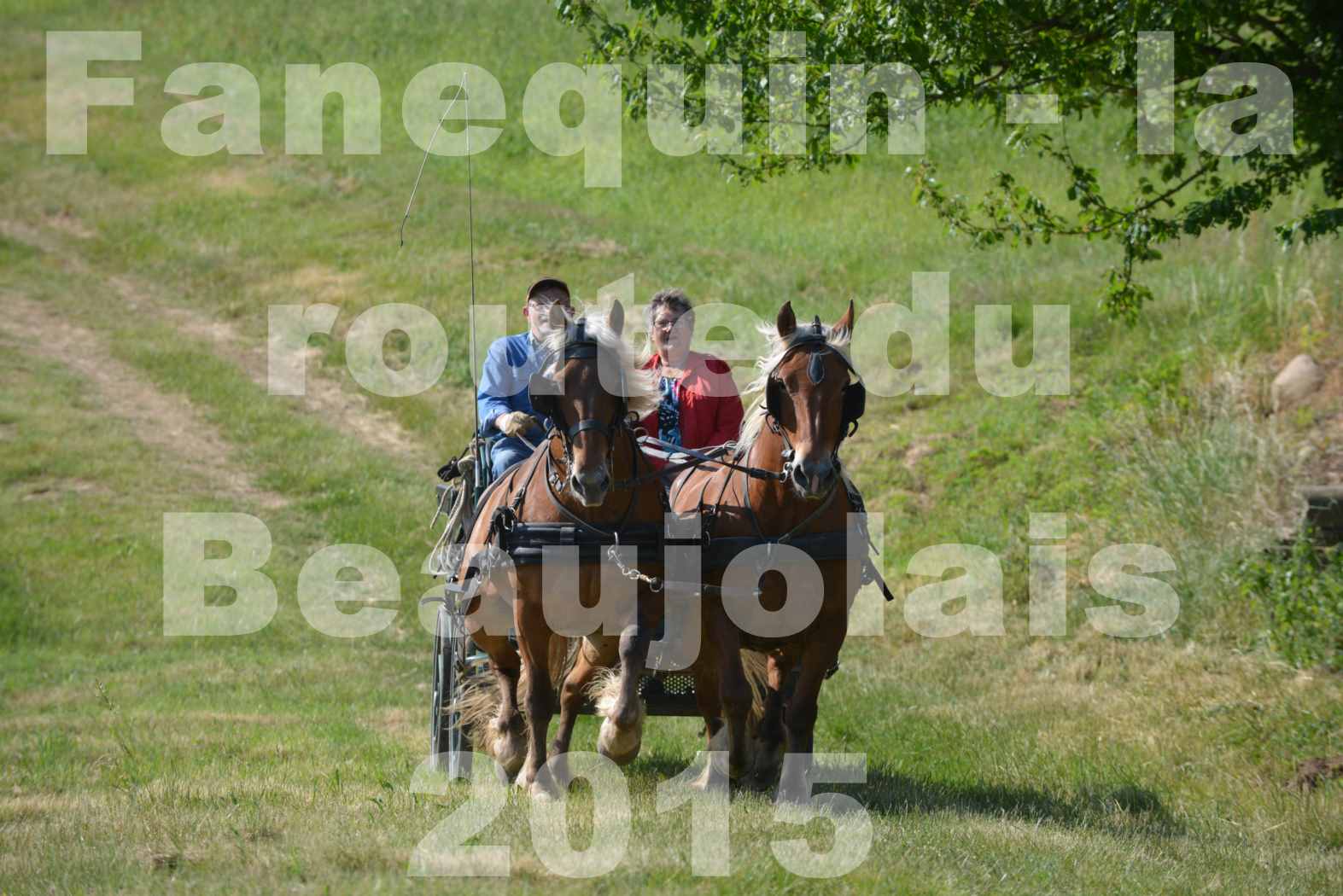 La Route Du Beaujolais 2015 - dimanche 24 mai 2015 - parcours en matinée - 05