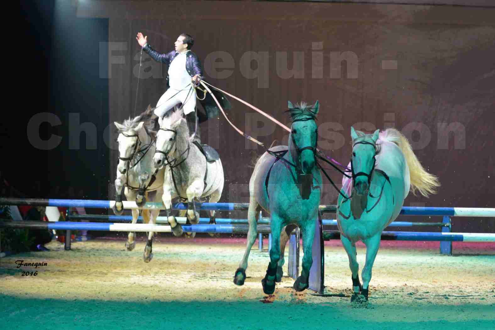 Cheval Passion 2016 - Spectacle les Crinières d'OR - LORENZO "Noir" - représentation du 23 janvier 2016 - 17