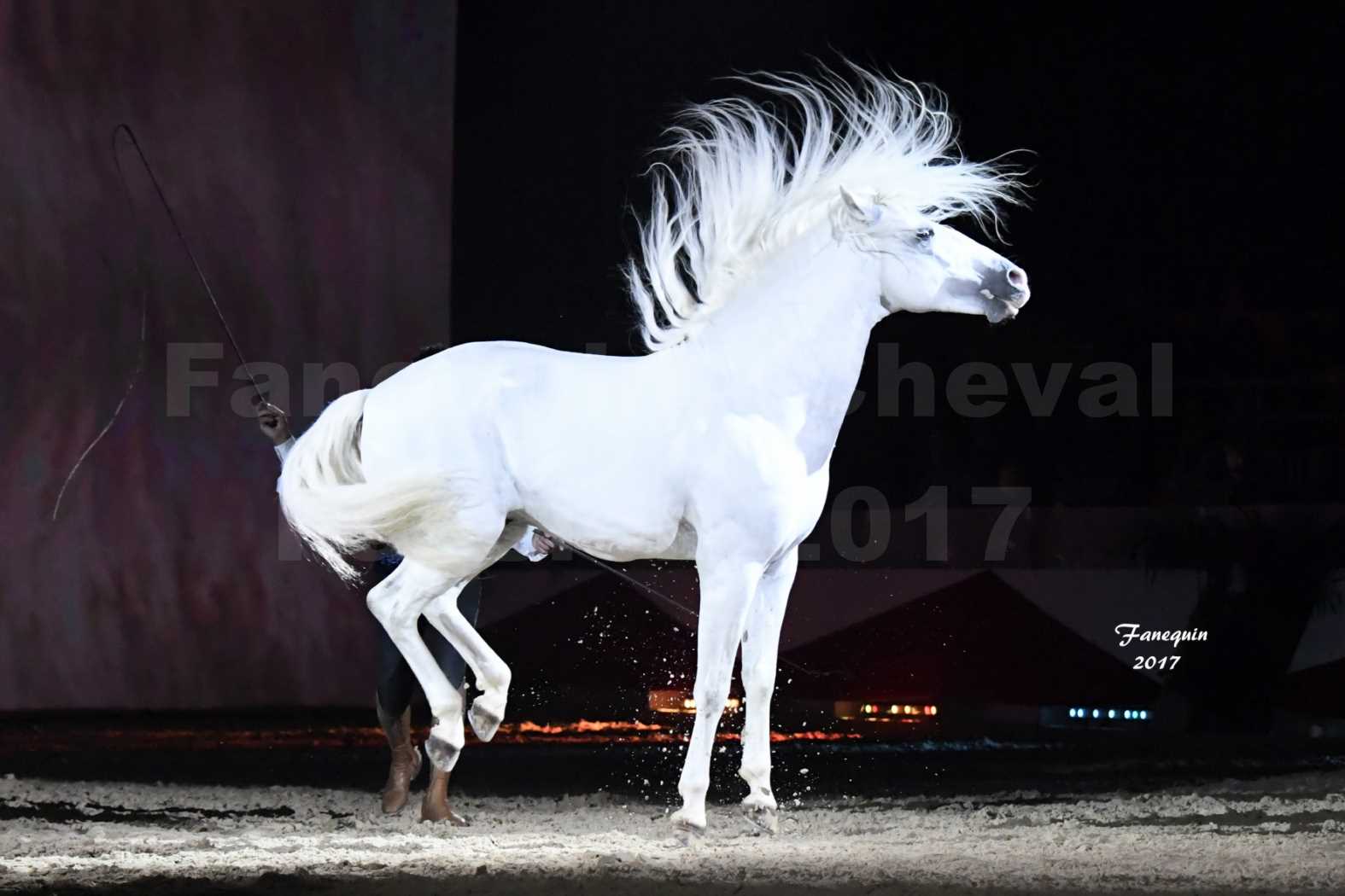 Cheval Passion 2017 - gala des Crinières d'OR - GARI ZOHER - 22