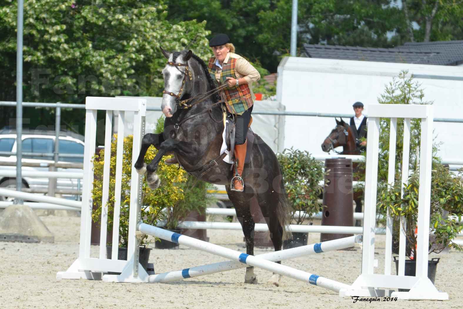 Salon Equitaine de Bordeaux en 2014 - concours Equitation de travail - Épreuve de Maniabilité chronométré - F - 08