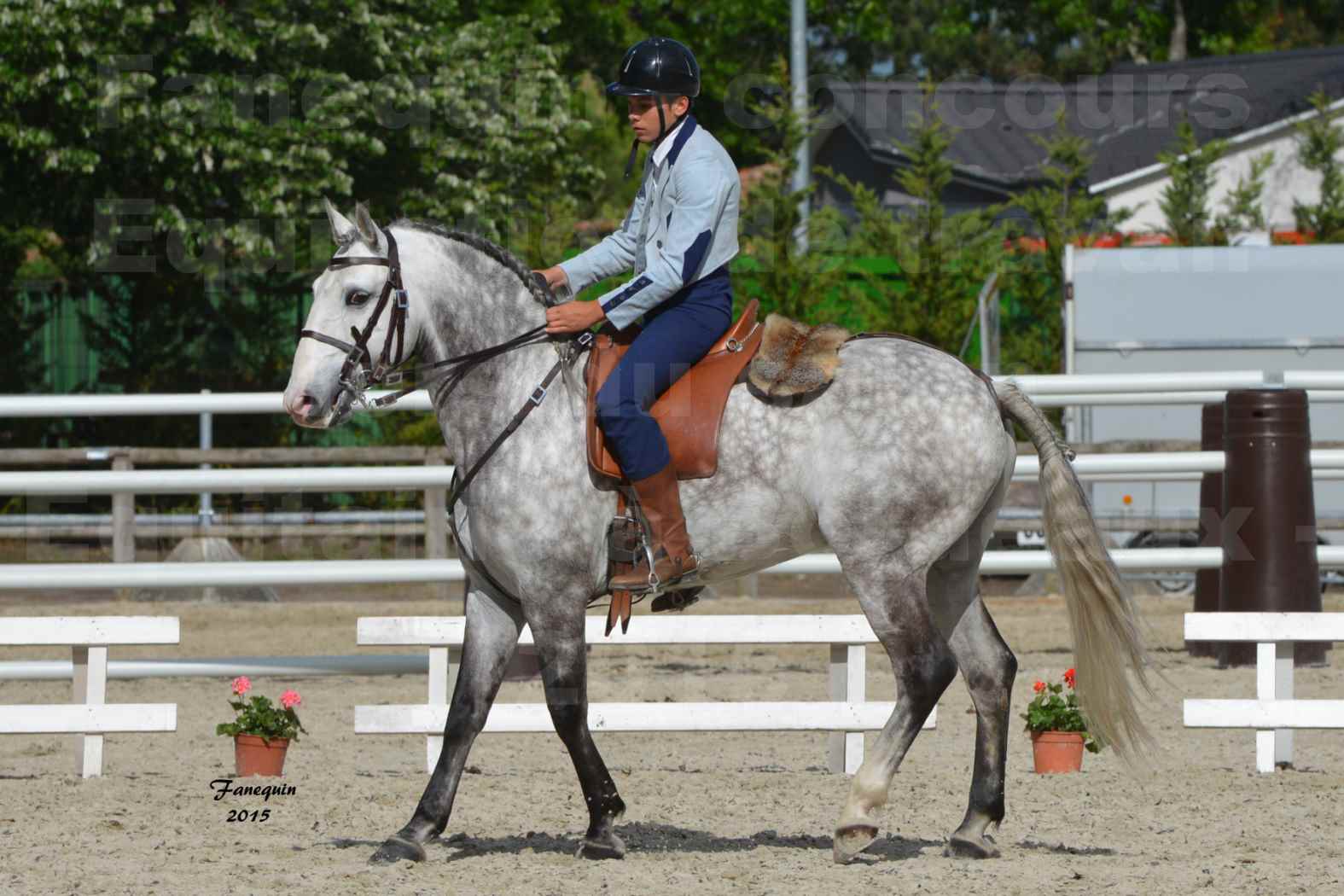 Salon Equitaine de Bordeaux 2015 - Concours d'Equitation de Travail avec chevaux Ibériques - S - 2