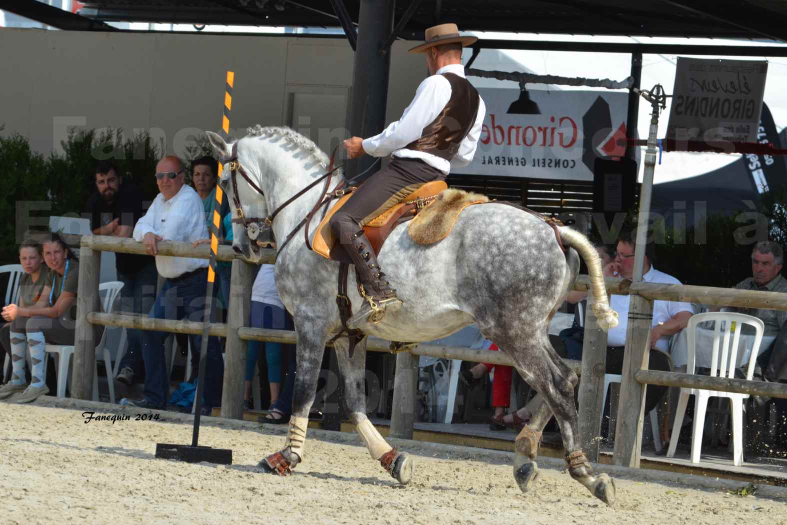 Salon Equitaine de Bordeaux en 2014 - concours Equitation de travail - Épreuve de Maniabilité chronométré - P - 21