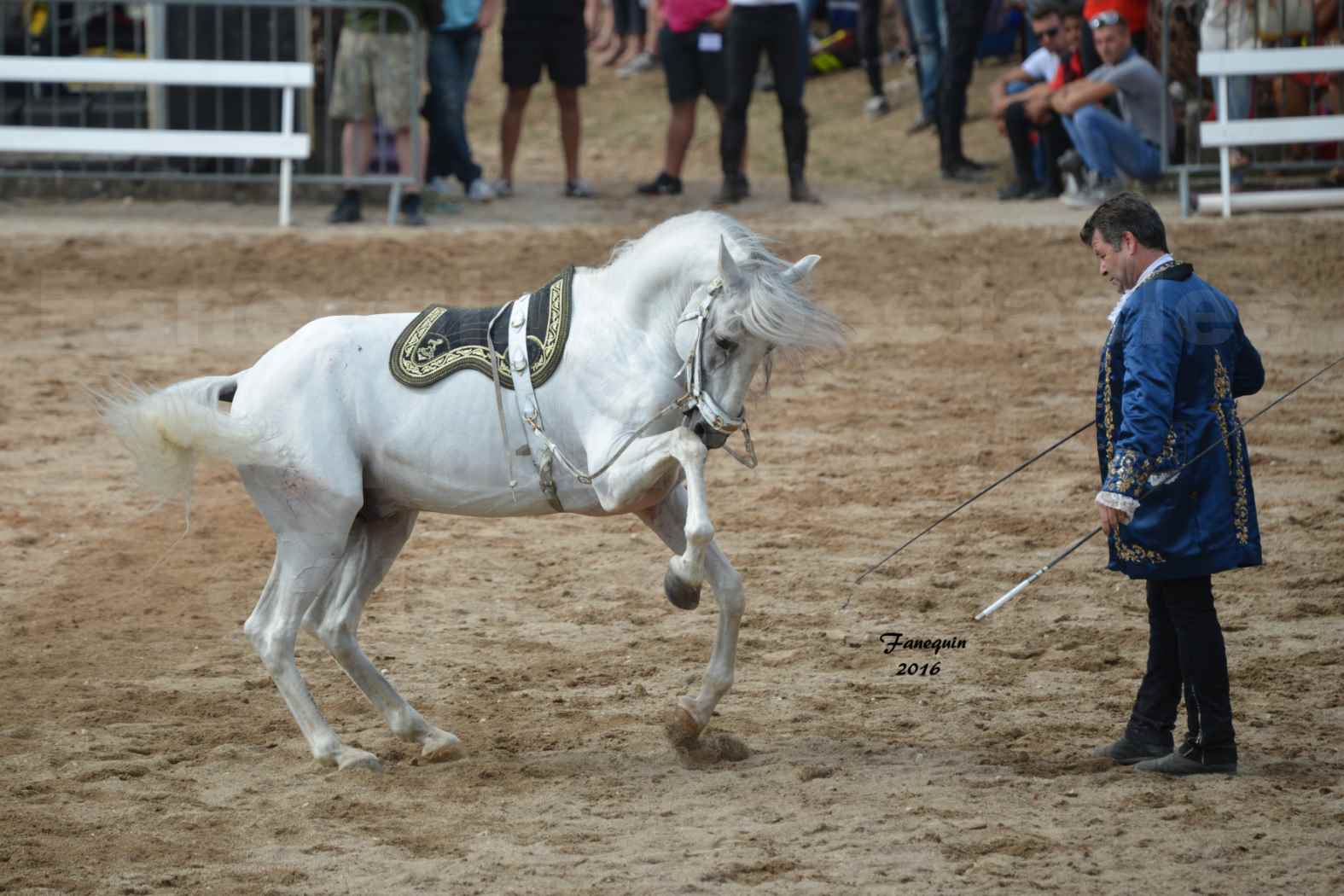 Spectacle équestre le 4 Septembre 2016 au Domaine de GAILLAC - Haute école avec la famille HASTALUEGO - 02