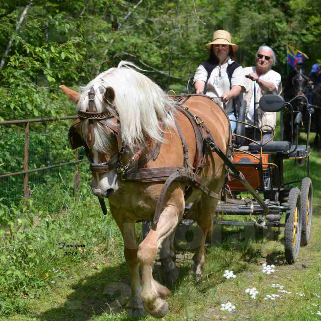 La Route Du Beaujolais 2015 - samedi 23 mai 2015 - parcours en après midi - 04