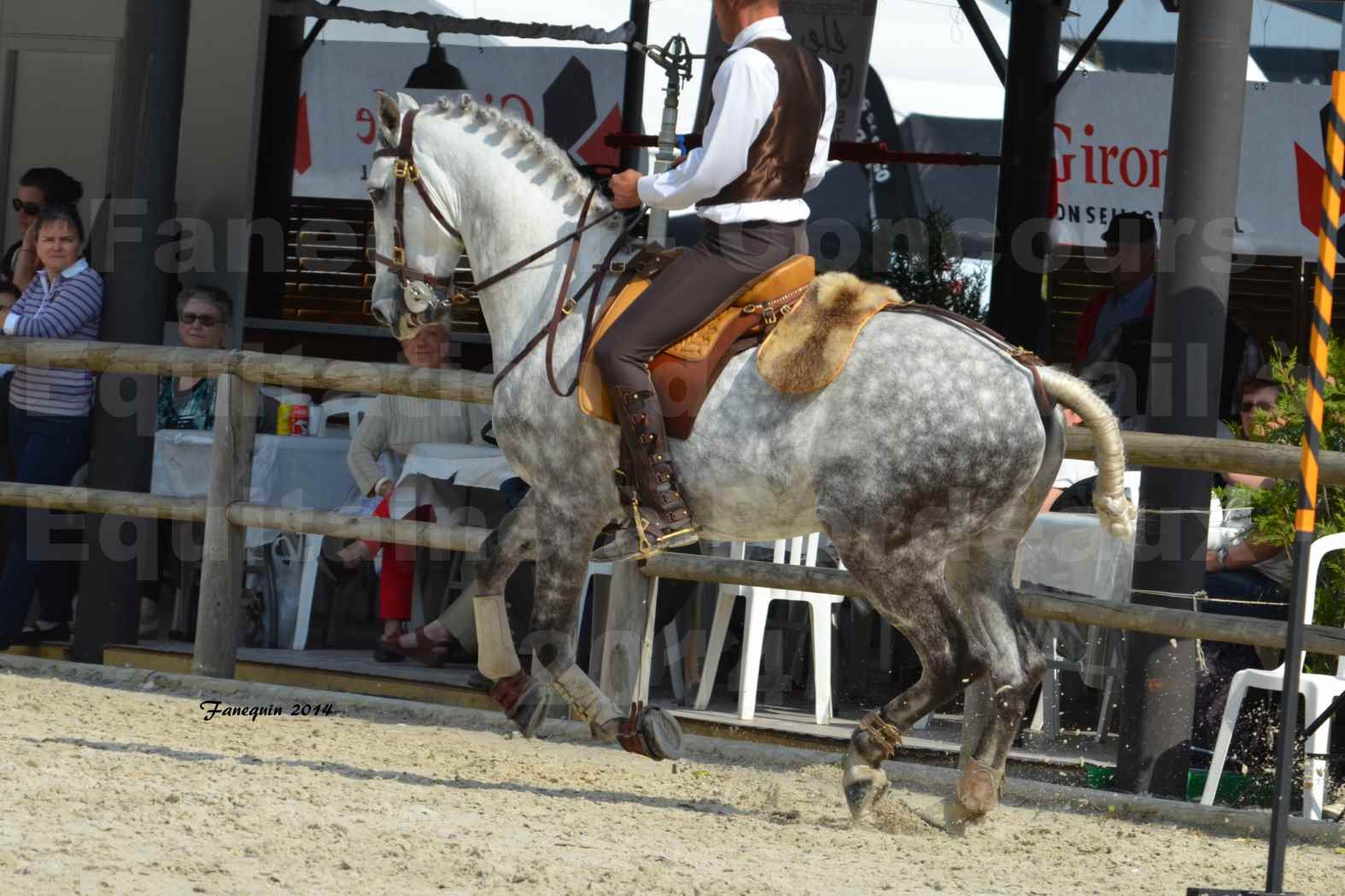 Salon Equitaine de Bordeaux en 2014 - concours Equitation de travail - Épreuve de Maniabilité chronométré - P - 20