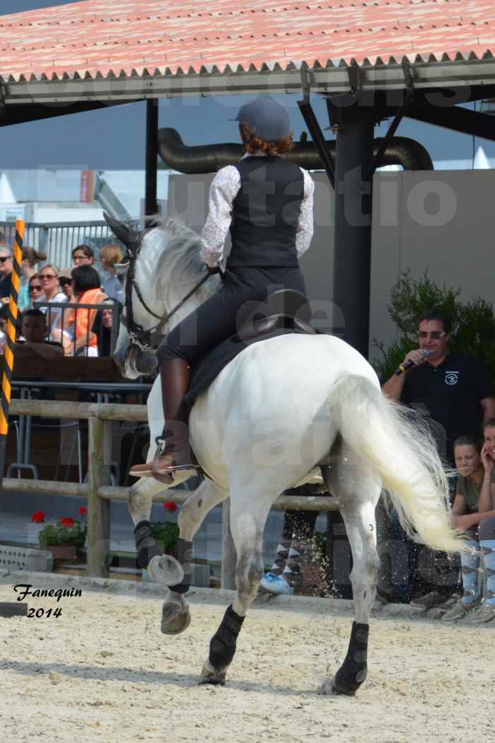 Salon Equitaine de Bordeaux en 2014 - concours Equitation de travail - Épreuve de Maniabilité chronométré - G - 4