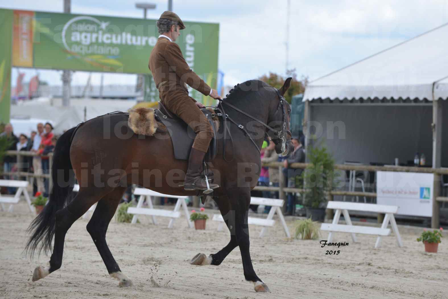 Salon Equitaine de Bordeaux 2015 - Concours d'Equitation de Travail avec chevaux Ibériques - J - 3