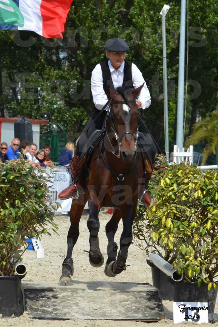 Salon Equitaine de Bordeaux en 2014 - concours Equitation de travail - Épreuve de Maniabilité chronométré - E - 11