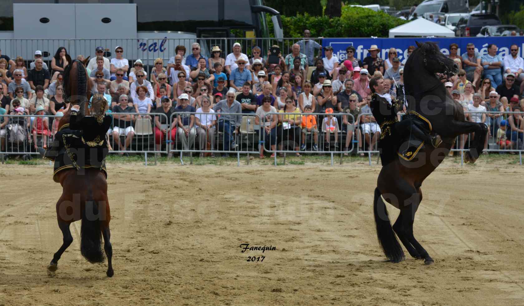 Spectacle Équestre - Salon Pêche Chasse Nature à Saint Gely du Fesc - 