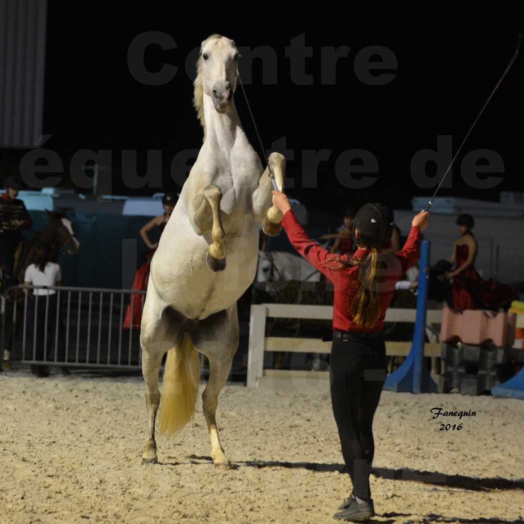 Centre équestre éphémère de la Foire de Montpellier 2016 - Mardi 11 Octobre 2016 - Spectacle Nocturne - 42