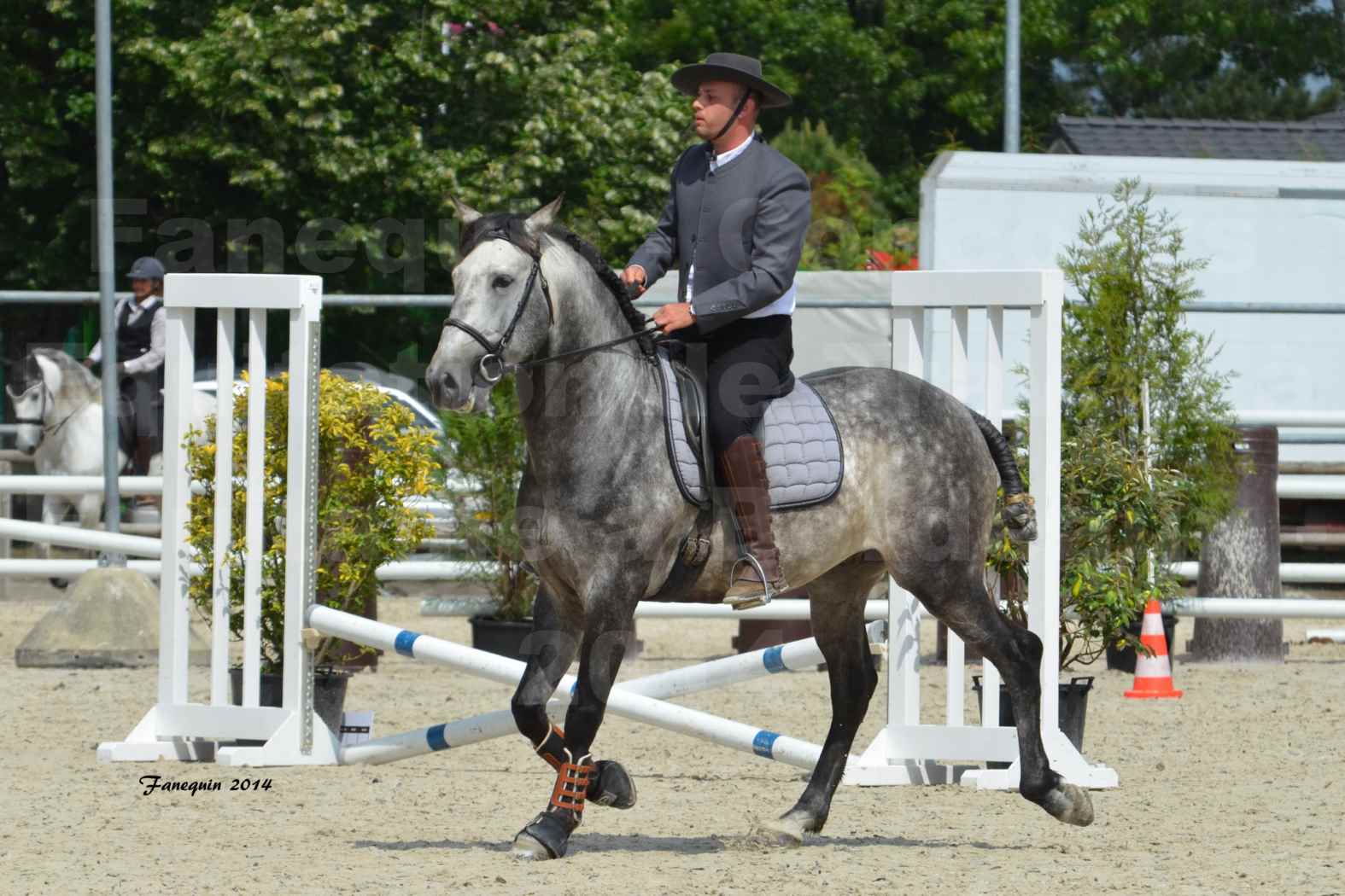 Salon Equitaine de Bordeaux en 2014 - concours Equitation de travail - Épreuve de Maniabilité chronométré - A - 3