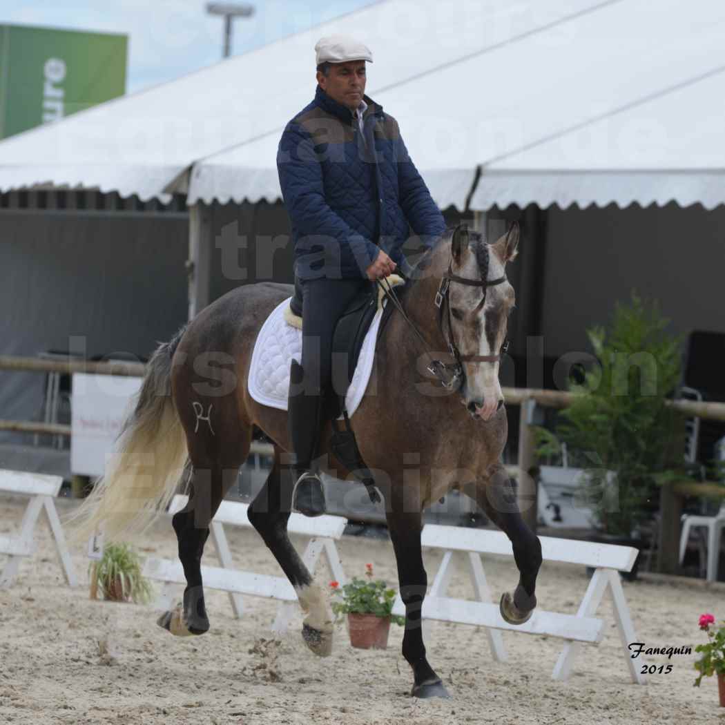 Salon Equitaine de Bordeaux 2015 - Concours d'Equitation de Travail avec chevaux Ibériques - L - 09