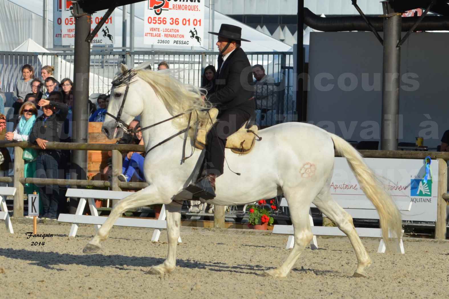 Salon Equitaine de Bordeaux en 2014 - concours Equitation de travail - Épreuve de Dressage - 15
