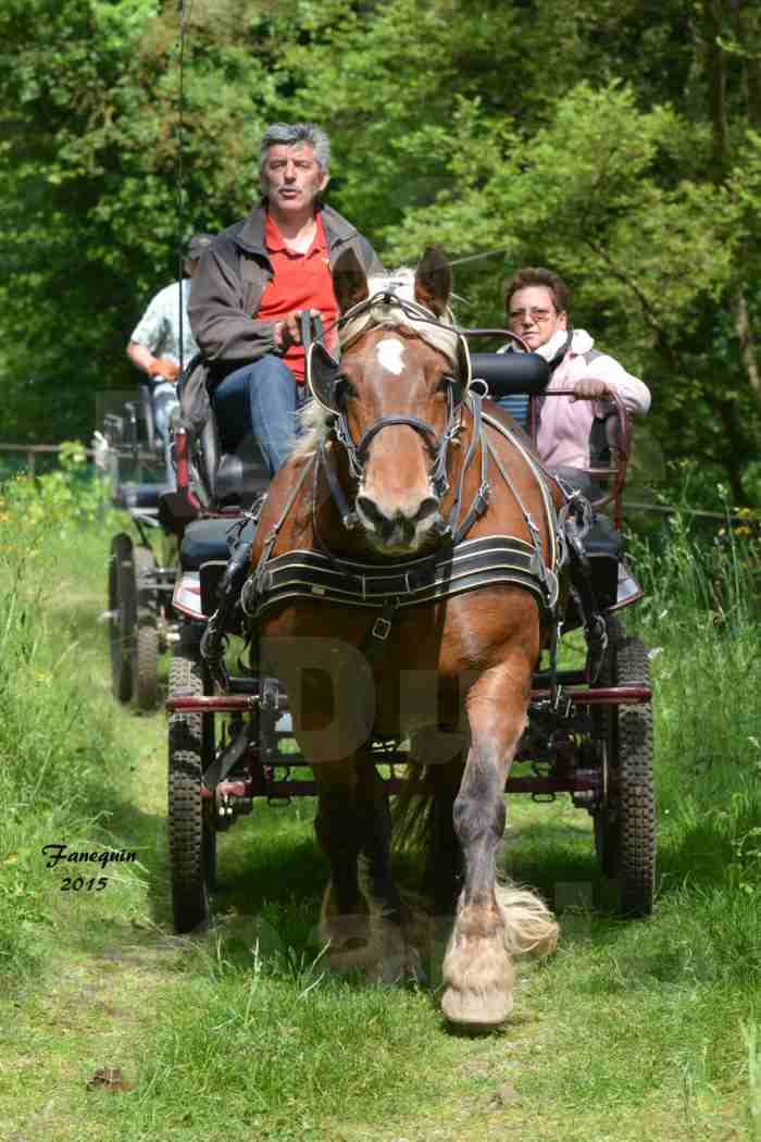 La Route Du Beaujolais 2015 - samedi 23 mai 2015 - parcours en après midi - 57