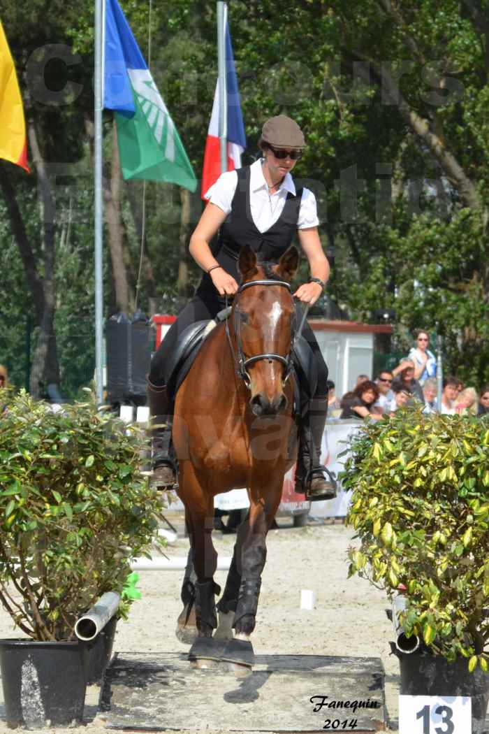 Salon Equitaine de Bordeaux en 2014 - concours Equitation de travail - Épreuve de Maniabilité chronométré - K - 4