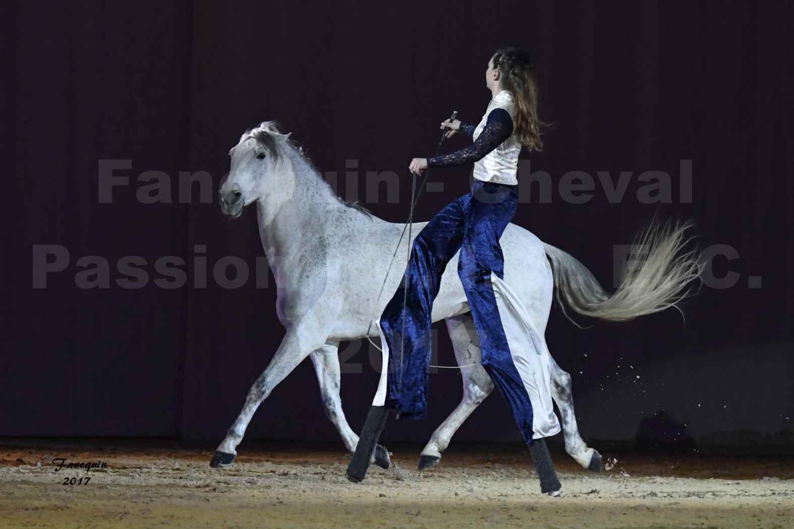 Cheval Passion 2017 - M. I. S. E. C. - Lucie VAUTHIER & 3 chevaux en liberté - 11