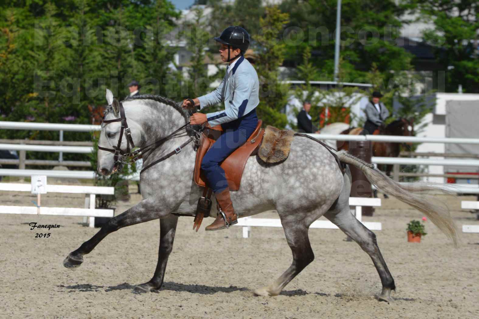Salon Equitaine de Bordeaux 2015 - Concours d'Equitation de Travail avec chevaux Ibériques - S - 7