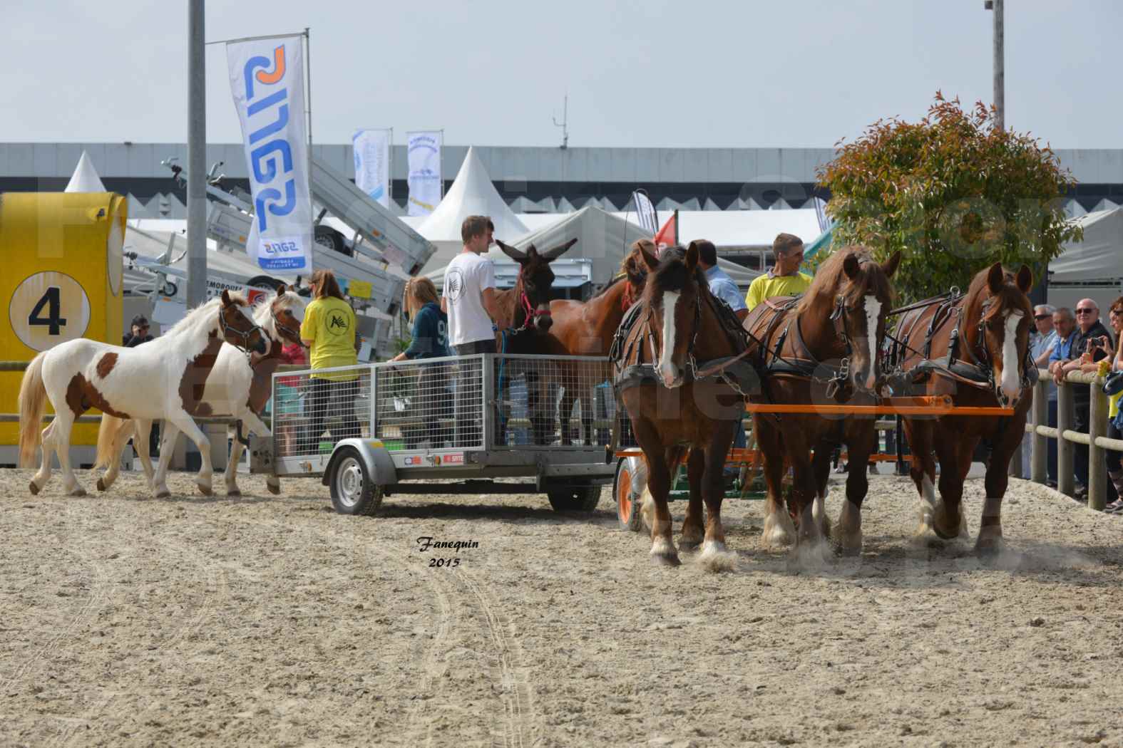 Salon Equitaine de Bordeaux 2015 - Démonstration d'attelage à 3 chevaux de front - 04