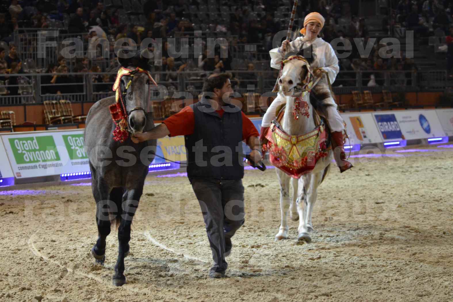 Cheval Passion 2014 - Chevaux BARBES - Notre Sélection - 04