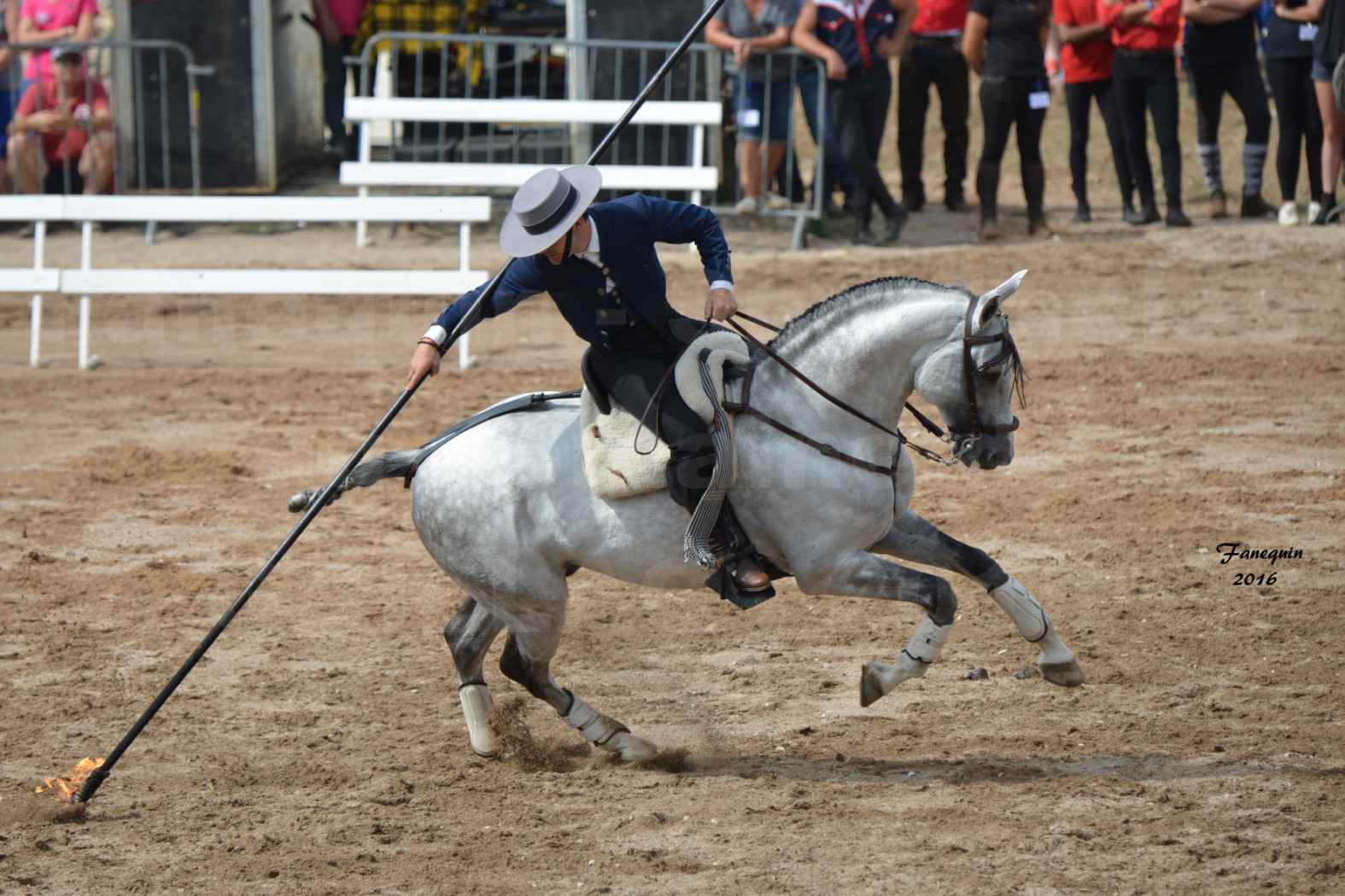 Spectacle équestre le 4 Septembre 2016 au Domaine de GAILLAC - Démonstration de Doma Vaquera - 14