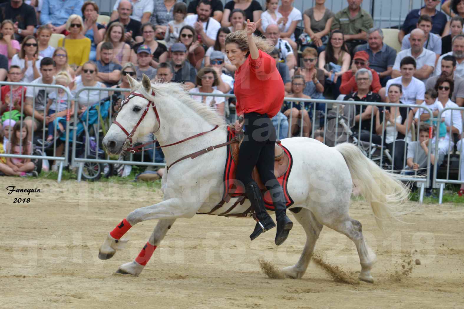 Spectacle Équestre le 3 juin 2018 à Saint Gély du Fesc - Voltige équestre - Troupe de Jean Antoine FIRMIN - 70